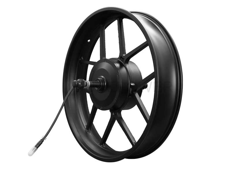 20 inch 750W fat tyre ebike motor